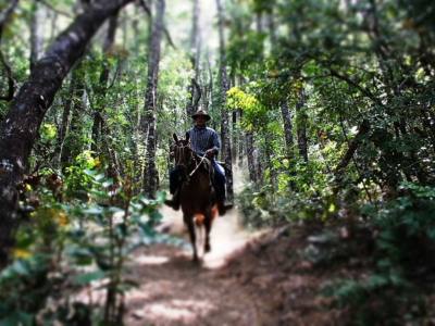 Cabalgatas Cabalgatas Lago Puelo
