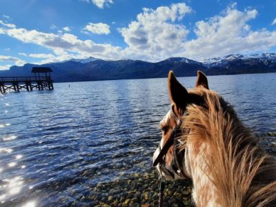 Horseback Riding Trips Cabalgatas AUCA