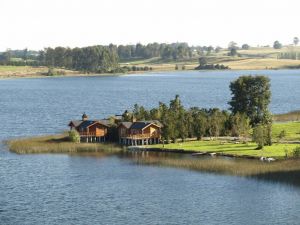 Photo of Gracias a la Vida Birding Lodge