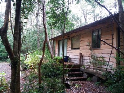 Cabaña en Bosque Nativo