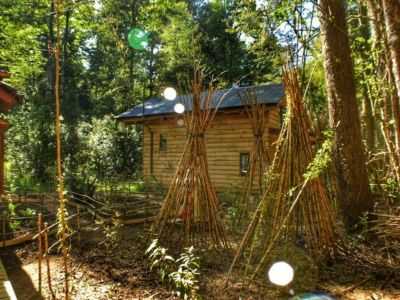 Cabins Antukullen