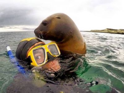 Madryn Buceo