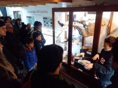 Museums Museo Paleontológico Bariloche