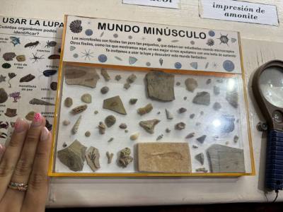 Museums Museo Paleontológico Bariloche