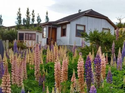 Cabins El Neneo