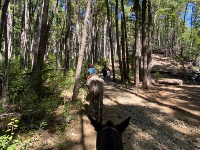 Horseback Riding Trips Patagonia Adentro Cabalgatas