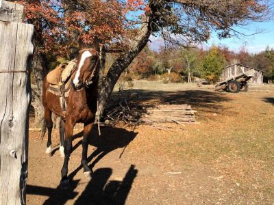 Horseback Riding Trips Patagonia Adentro Cabalgatas