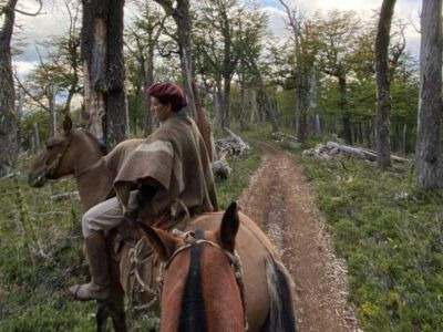Cabalgatas Patagonia Adentro Cabalgatas