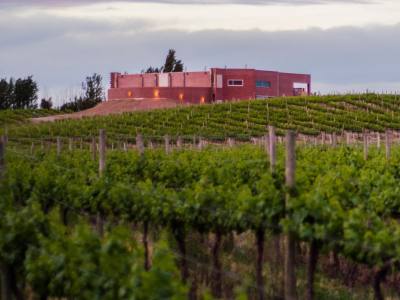 Bodegas Bodega Secreto Patagónico