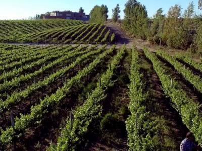 Bodegas Bodega Secreto Patagónico