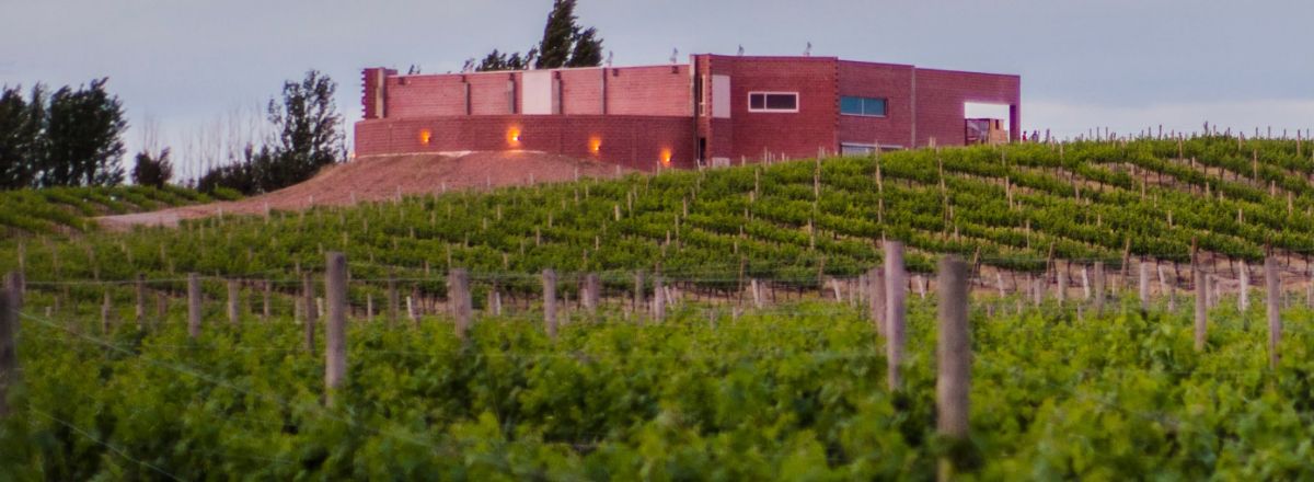 Bodegas Bodega Secreto Patagónico