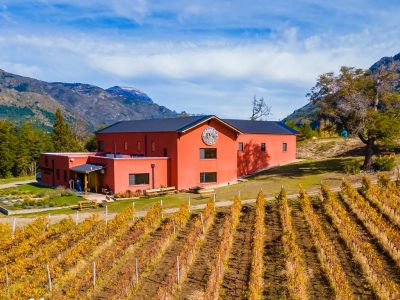 Patagonia Wines