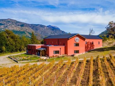Wine Makers Patagonia Wines