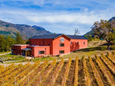 Patagonia Wines