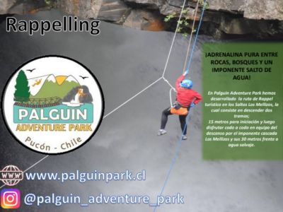 Turismo Aventura Palguin Park