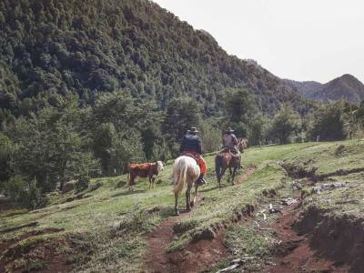 Horseback Riding Trips Rancho Carhuello - Cabalgatas