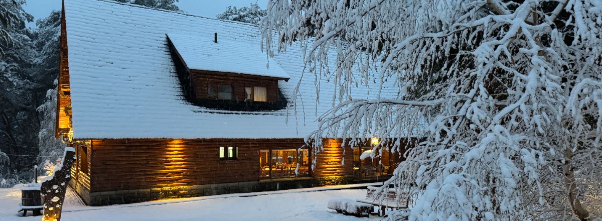 3-star Cabins LaViste Cabaña