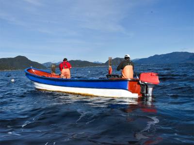 Operadores de Servicios Turísticos Albatrosur Patagonia