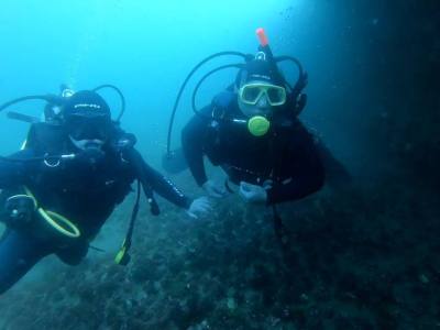 Patagonian Divers