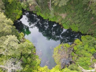 Agencias de viajes y turismo Turismo Las Cascadas
