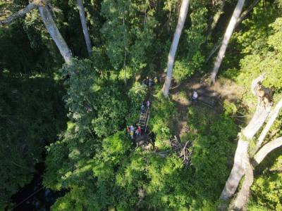 Agencias de viajes y turismo Turismo Las Cascadas