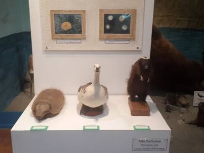 Museos Museo Regional de Rada Tilly