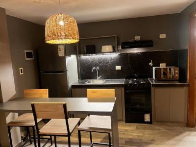 Departamentos 460 loft apartments lago