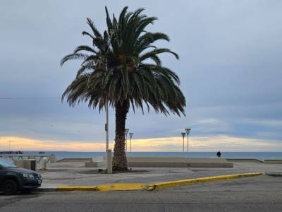 Departamentos de alquiler temporario Costa Sur Brown
