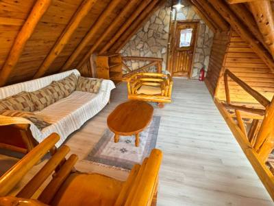 Hosterías 3 estrellas Lodge Copahue Expeditions
