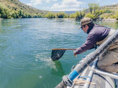 Freecast Patagonia