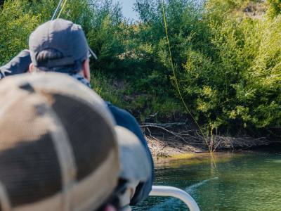 Fishing Outings Freecast Patagonia