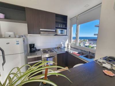 Bungalows / Short Term Apartment Rentals Mareas del Golfo