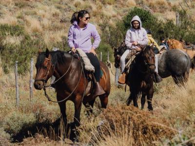 Horseback Riding Trips Freecast Patagonia