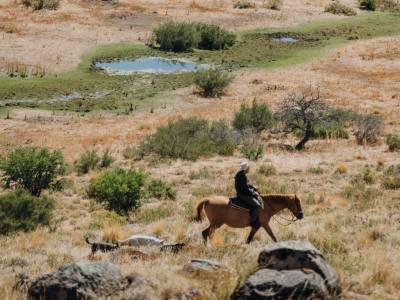 Horseback Riding Trips Freecast Patagonia