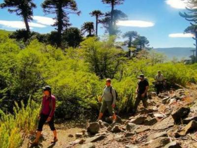 Operadores de Servicios Turísticos Geoturismo Caviahue