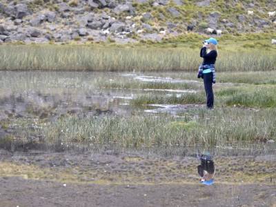 Operadores de Servicios Turísticos North Patagonia 4X4