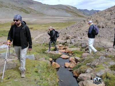 Operadores de Servicios Turísticos North Patagonia 4X4