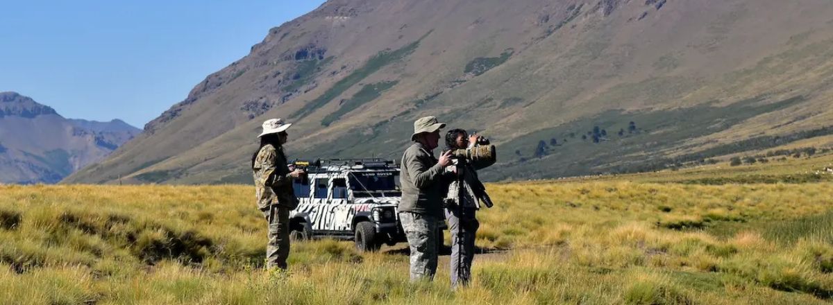 Operadores de Servicios Turísticos North Patagonia 4X4