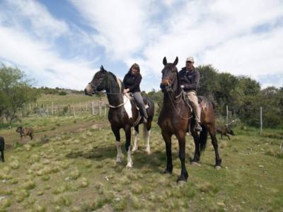 Cabalgatas Frisón Barock Patagonia