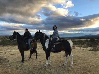 Cabalgatas Cabalgatas Frisón Barock Patagonia