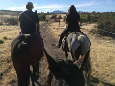 Cabalgatas Cabalgatas Frisón Barock Patagonia