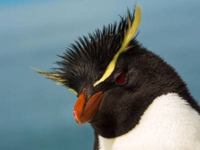 Operadores de Servicios Turísticos Puerto Penacho