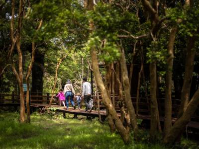 Hot Springs Termas Cochamó