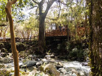 Hot Springs Termas Cochamó