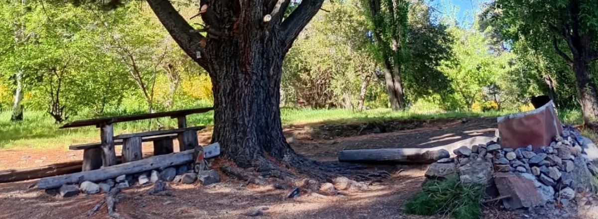 Campings Camping Ale