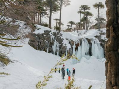 Travel and Tourist Agency NQN Turismo