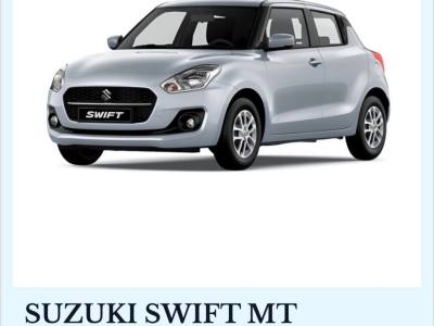 Car rental Rent a Car Patagonia