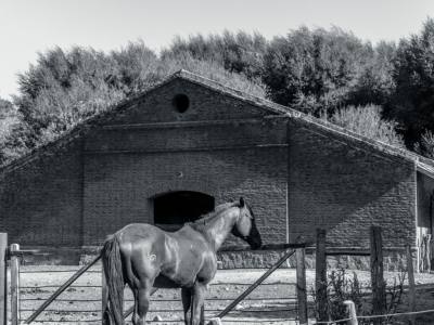 Estancia Quillén