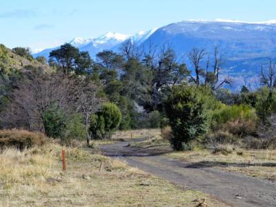 Inmobiliarias Lugares del Sur