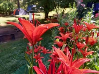 Alojamiento en Huinganco Camping La Corona